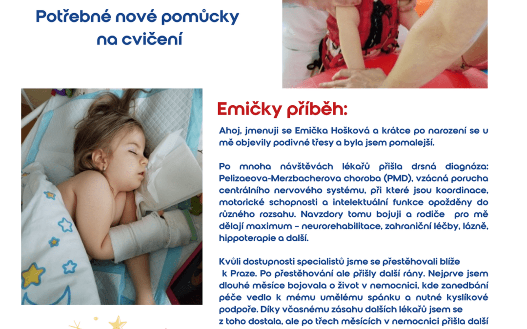 Nadace Erbia-Ema 6 let