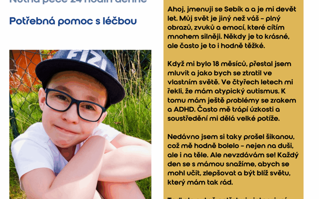 Nadace Erbia – Sebík